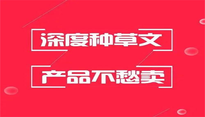 小红书笔记类内容运营怎么玩
