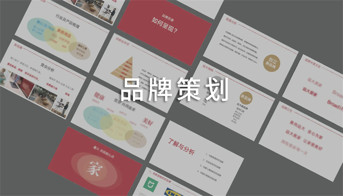 如何进行品牌全案策划？