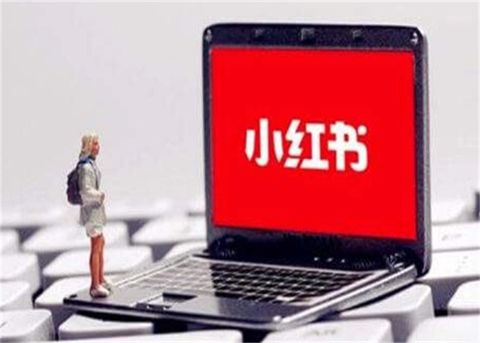 小红书涨粉实用技巧分享(图1) 小红书涨粉实用技巧分享(图1)