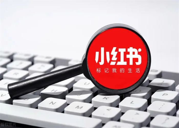 小红书笔记怎么优化？学会这几点让你轻松提高笔记排名！(图1)