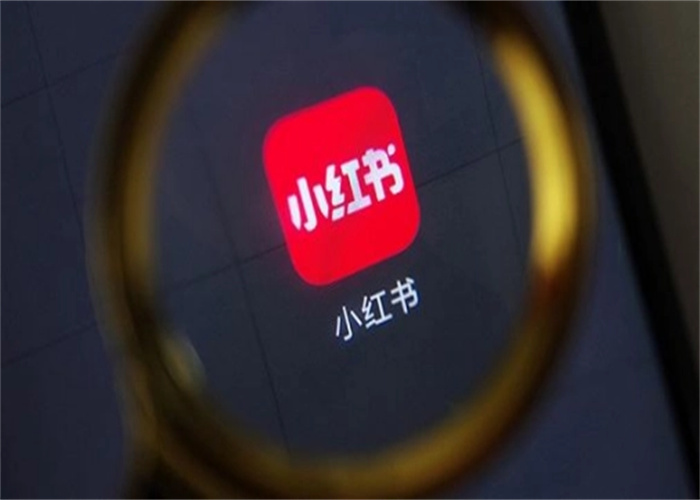 一文看懂！小红书品牌投放选什么推广方式比较好？(图1)