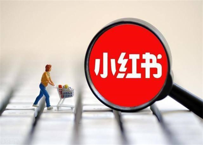 小红书怎么选择达人合作？具体流程是什么？(图1)