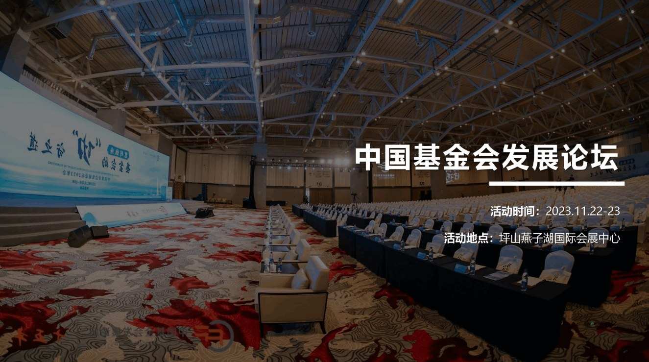 中国基金会发展论坛(图1)