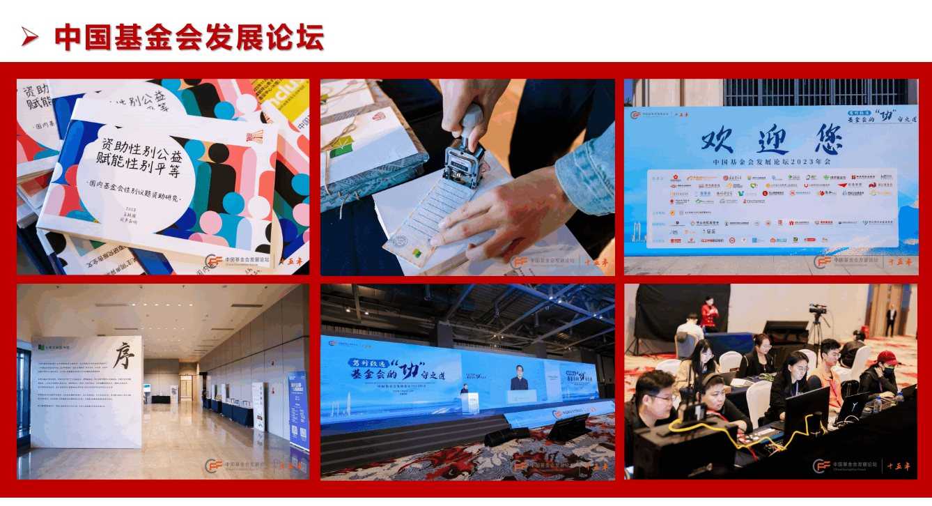 中国基金会发展论坛(图2)