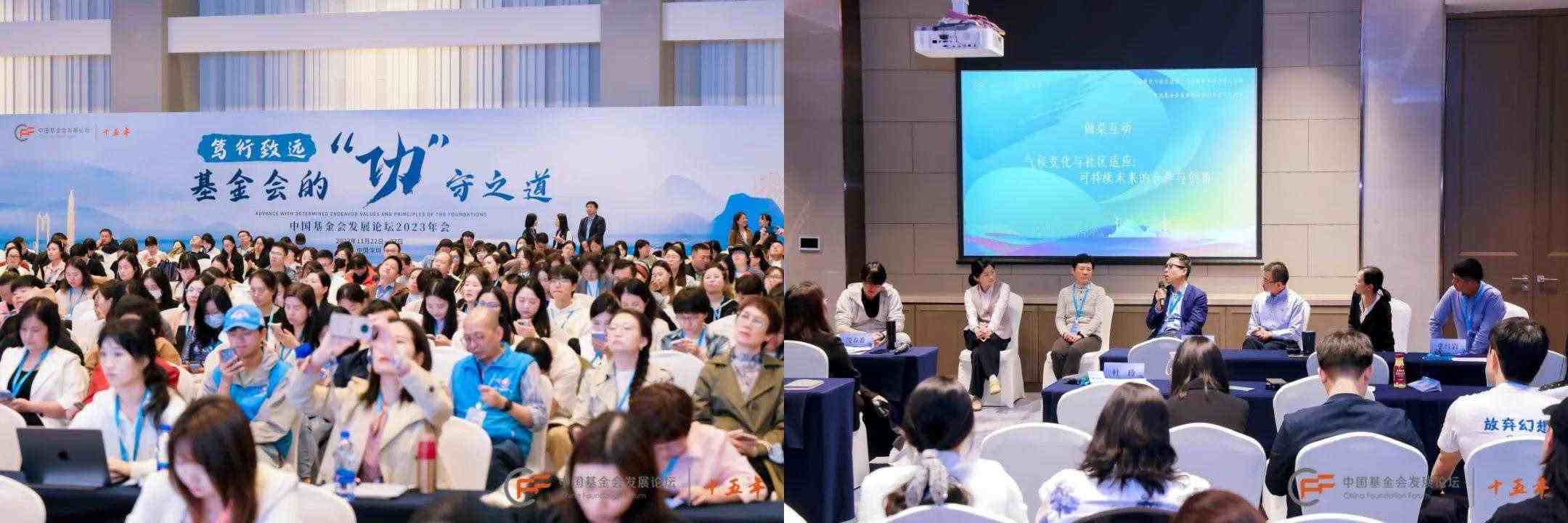 中国基金会发展论坛(图3)
