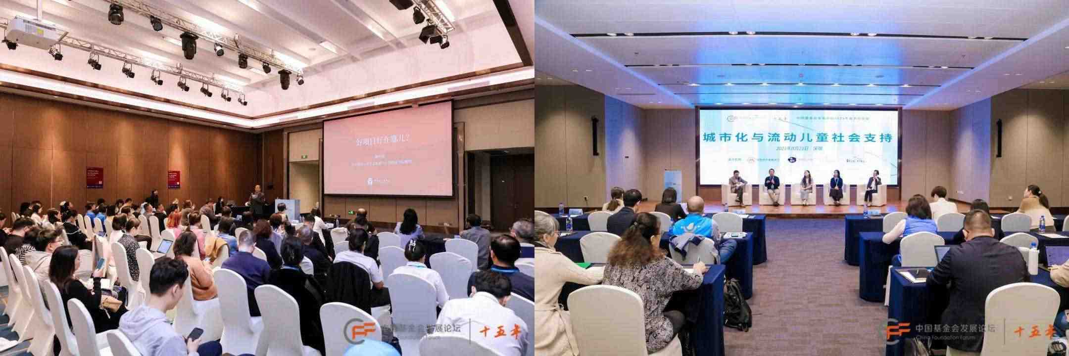 中国基金会发展论坛(图4)