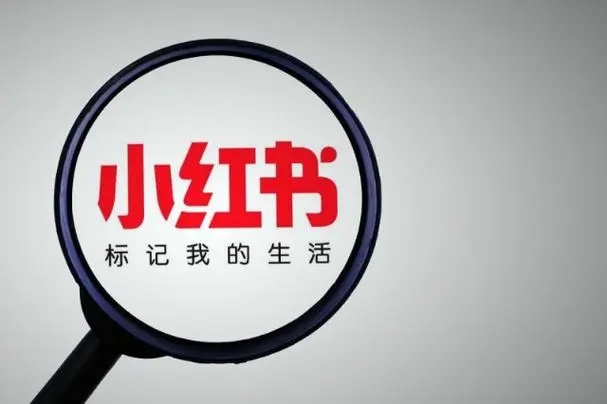 小红书广告KOC与KOL投放指南(图1) 小红书广告KOC与KOL投放指南(图1)